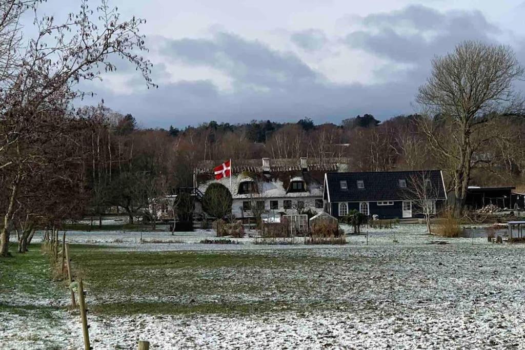 Kongsholmlund - Silent Retreat Villa Vejby Kültér fotó