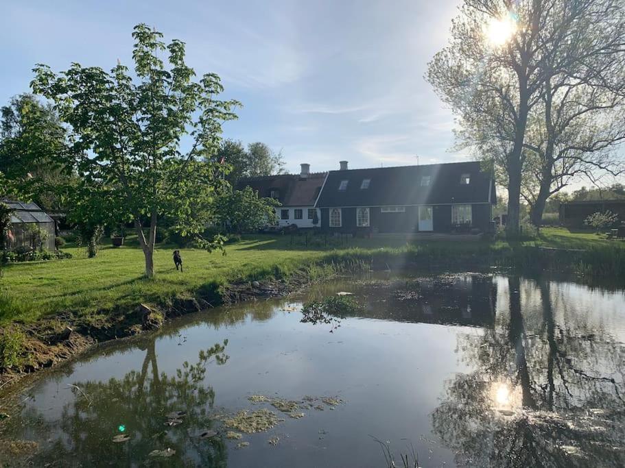 Kongsholmlund - Silent Retreat Villa Vejby Kültér fotó